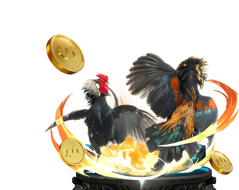 Sảnh VIP riêng tư tại debet win